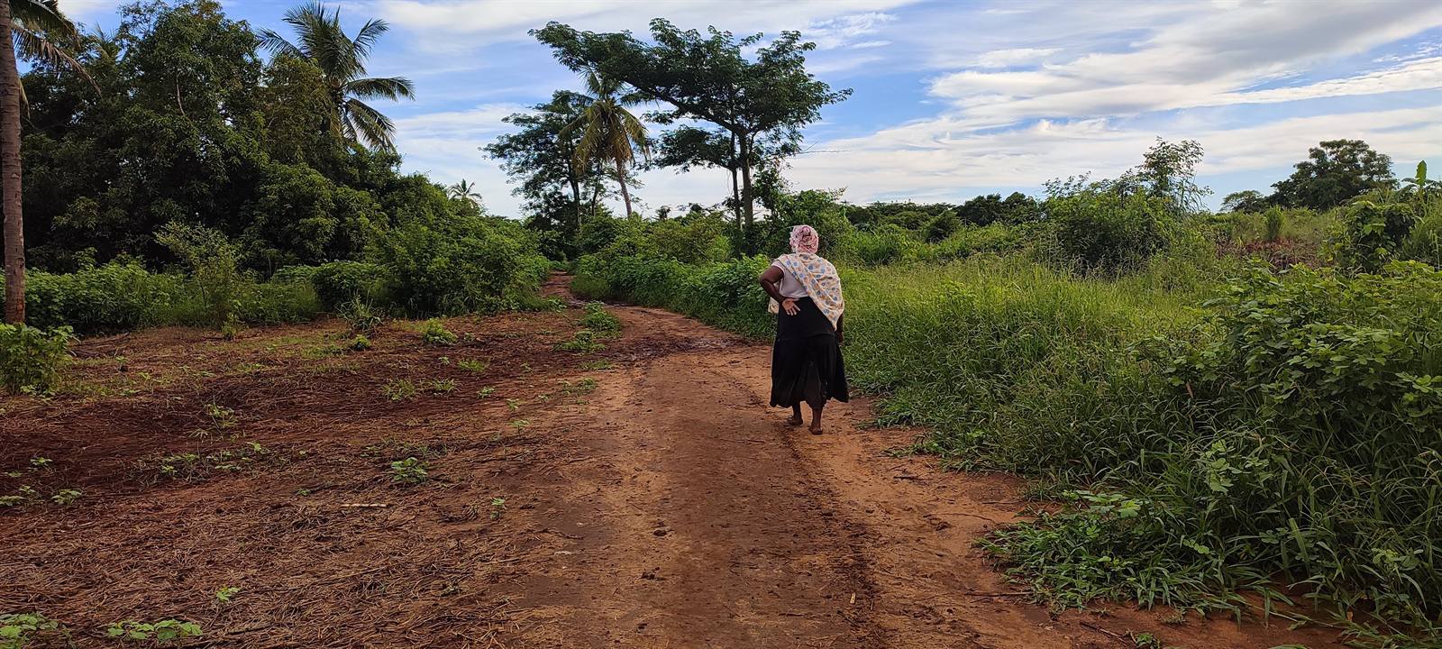 Chemin du village de Tambohorano dans le Melaky